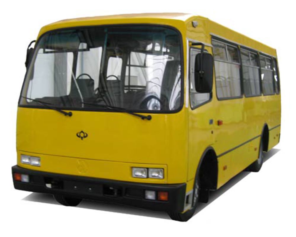BUSES